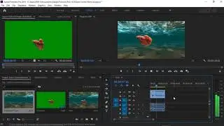 Green Screen Removal Adobe Premier Pro 2019 in 2 Minutes. Simple Steps