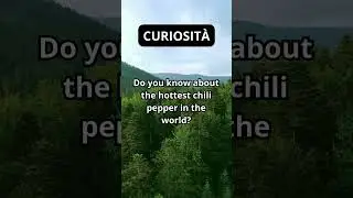 #Curiosity #shorts #CuriousMind #StayCurious