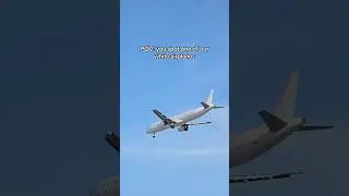 Have you ever spotted our planes? 👀 #smartlynxairlines #aviation #airbus #planespotting #plane
