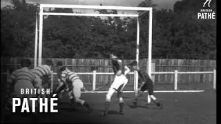 Shinty (1936)