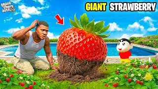 Franklin & Shinchan Finally Find GIANT STRAWBERRY | Most Shocking Life Story