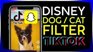 How to Create Disney Dog Filter Video for Tiktok  #disneycat #disneydog