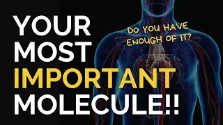 The most important Molecule your body needs -- Nitric Oxide!! How to get more of it.