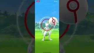 ✨Shiny Mewtwo✨ and 100 IV Mewtwo in 3 RAIDS!!! | Pokemon Go #shorts