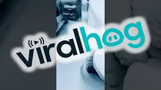 Person Forgets to Shut Truck Door During Snow Storm || ViralHog