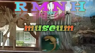 new santali video2022//RMNH museum Bhubaneswar