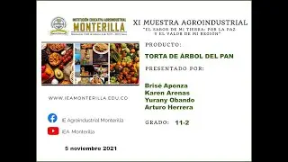 Torta de &Aacute;rbol del Pan - XI Muestra Agroindustrial IEAM 2021