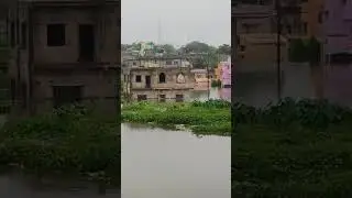Condition of Ward no 16, Sadhudanga , Purulia Municipality