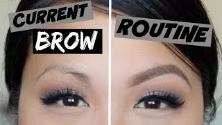 Current Brow Routine | Eyebrow Tutorial | Joyce Golden