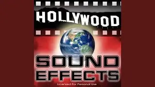 Crowd - Football Fans Pub Sound Effect 1