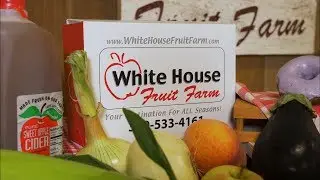 More Than Donuts | White House Fruit Farm | Shop Local Mahoning Valley