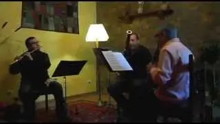 Mozart Divertissement n1. Flute, Clarinet, bassoon