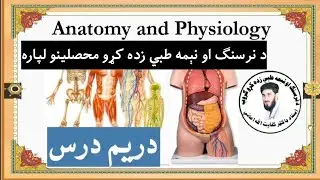 3 Body Cavities |Anatomy and Physiology |د بدن اجواف |For Nursing and Pre Medical Student