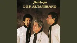 Serenata Vehemente