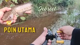 Sambaran Telak Predator Rawa-rawa,, #snakehead #fishingvideo #mancingmania @mahuluTA