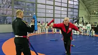 Stagiul Prieteniei. CS Budo Seishin . Chanbara Seminar Gaby Oancea, 16-18 ianuarie  2026.