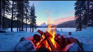 Cozy Winter Campfire 🔥❄️ Snow-Covered Forest Ambience | Crackling Fire Sounds, No Music