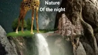 good night everyone pls don't forget to pray
