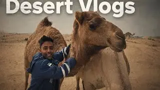 Desert Vlogs | A Day With Camel | Fun with Camel 