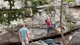 Maurice&rsquo;s Mantle - Moss Rock Preserve