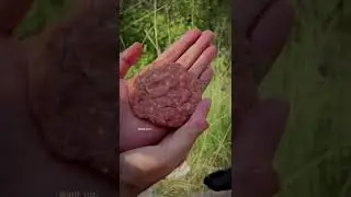Best juicy beef burger in jungle |wild cooking #recipe  #wildcookbook  #wildcooking #wildcook