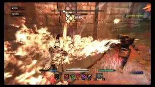 [ESO] Wrecking Blow Teamwork! 2vX