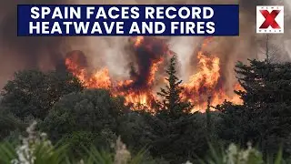 World Report | Israel Gaza | Russia Ukraine | Gaza City | Spain Wildfirfe | Bolivia | NewsX World