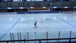 Una Solomunovic Serbian Skating Federation Skate Celje 2018 figure skating