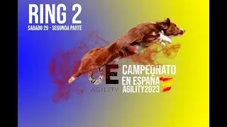 CAMPEONATO EN ESPA&Ntilde;A RSCE 2023 (S&aacute;dado 29 Abril) RING2 - Segunda Parte