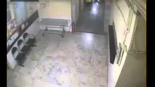 Shocking CCTV footage: Leopard Vs Dog