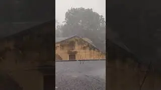 A mesmerizing view of a melodic rain shower. #shorts #rain #nature