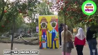 টাঙ্গন ব্যারেজ কমলা ও মাল্টা বাগান, রুহিয়া,ঠাকুরগাঁও 