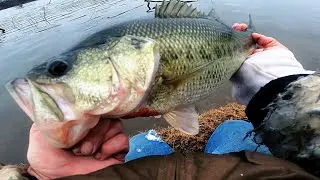 Long Island - BIG LARGEMOUTH BASS - Rainy Cold Winter Freshwater Fishing