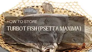 How to store turbot fish (Psetta maxima)