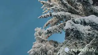 ✨ Guided Meditation for Clarity and Vision | MySerenify | Insight Timer CEO, Christopher Plowma