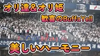 【BuffaYell】オリ達＆オリ姫の美しいハーモニー
