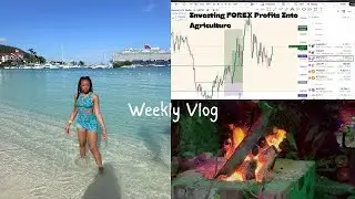 My Forex Journey + Investing in Agriculture + Girls Night Out + Family Outing