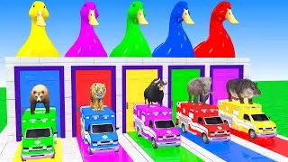 Long Slide Game With Elephant Bear Tiger Bull Hipopotamus 3d Animal Game Funny 3d Animals
