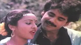 Aranyakanda Movie Songs || Bagunnaava || Nagarjuna || Shobana || Ashwini