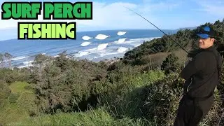 Surf Perch Fishing on the Oregon Coast (Newport) I We found Schools of Silver and Red-Tail Perch