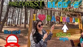 Daringibadi tour to pine forest (ଝାଉଁ ବଣ )😆😆😆|| pine forest tour details.....