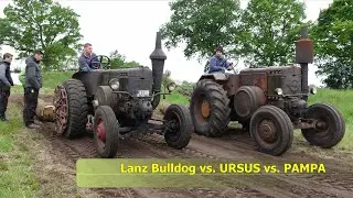 Schmalfeld 2019 Ich war dabei bis 45 PS Baumstammziehen  Eicher vor Lanz Bulldog