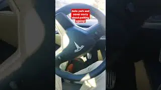 Auto park with one tap using Tesla model 3 model Y #shorts #fsdbeta #eap #autopilot #tesla #car #new