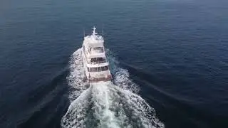 MSU Video