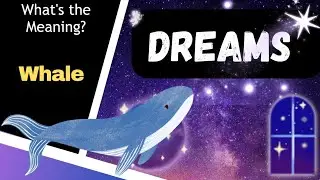Whale Dream Meaning? When you see a whale in your dream ✨️