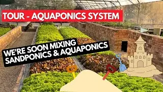 Экскурсия по системе аквапоники Myaquaponics — скоро будет добавлена ​​система Sandponics — сентя...