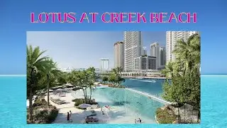 Dubai Creek Beach - Lotus