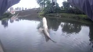 這裡環境還不錯~~只不過都是阿福在捧場
