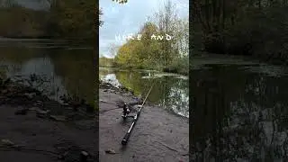 Pike deadbaiting
