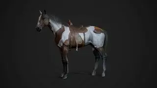 Stallion - Game Ready